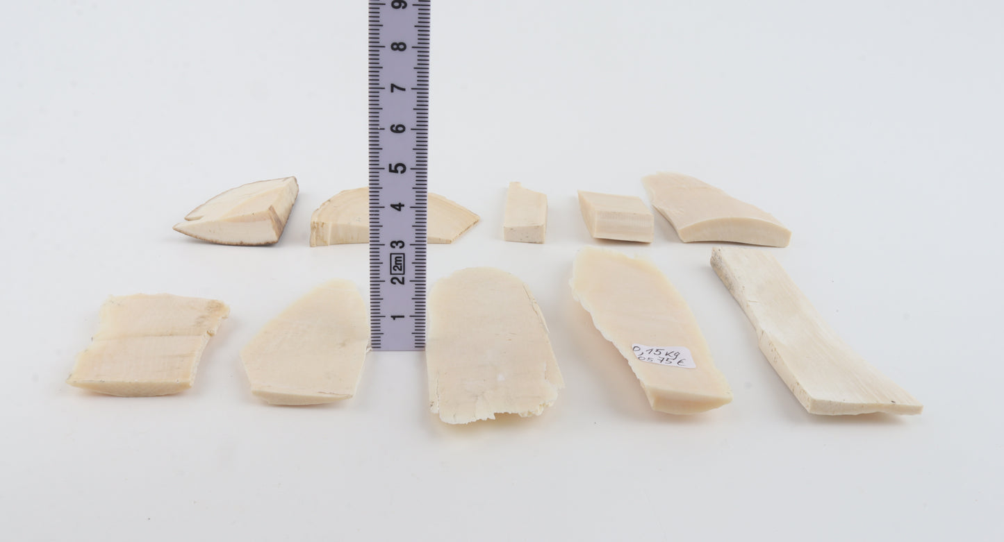 Raw mammoth ivory pieces