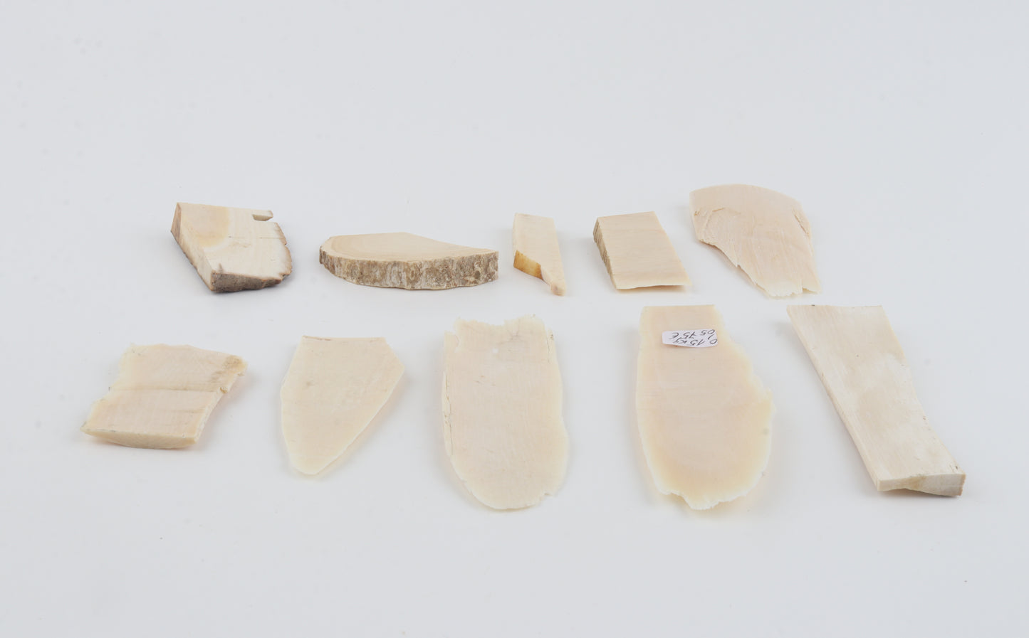 Raw mammoth ivory pieces