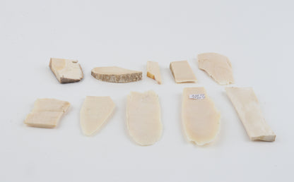 Raw mammoth ivory pieces