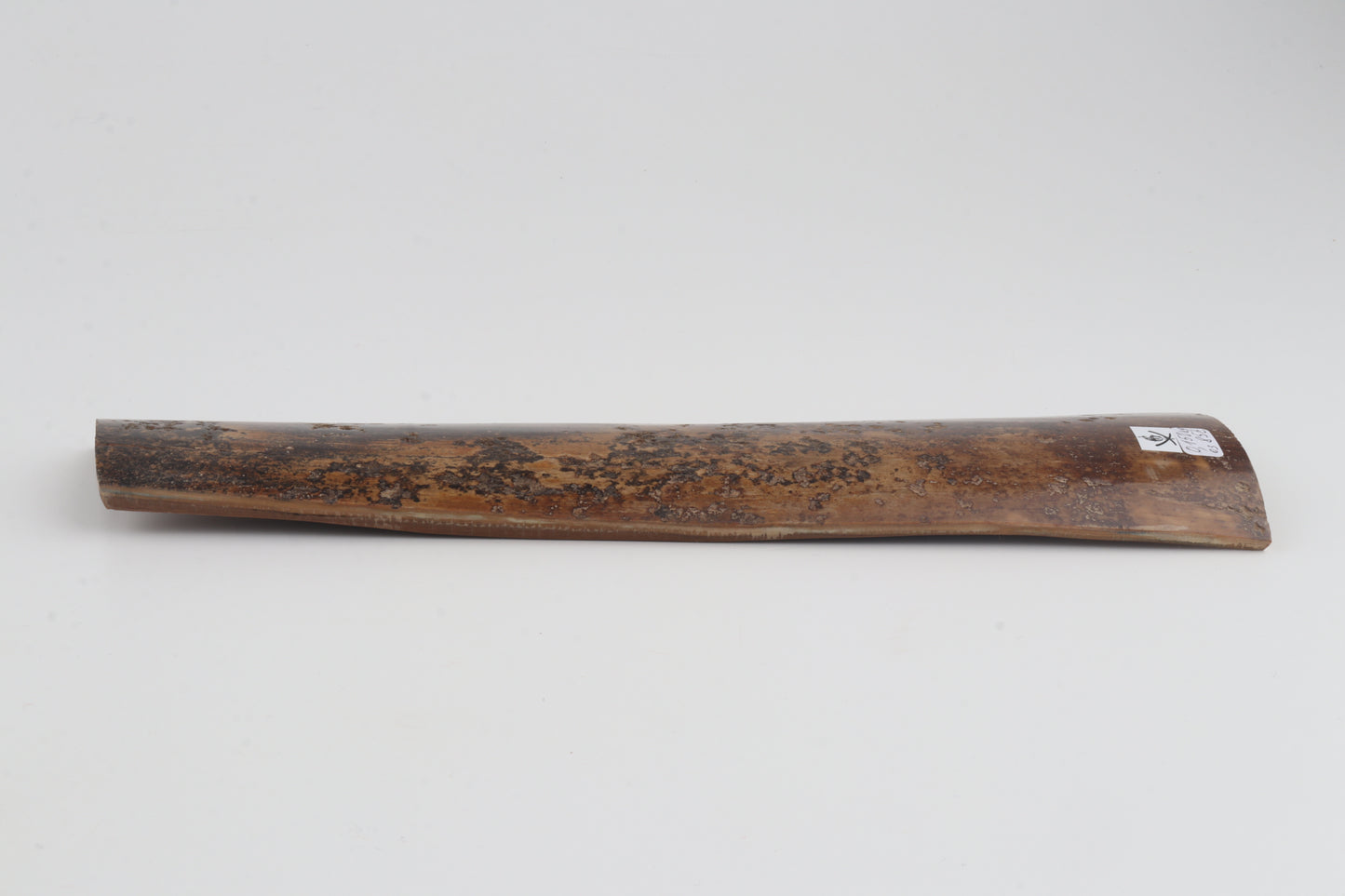 Brown mammoth bark