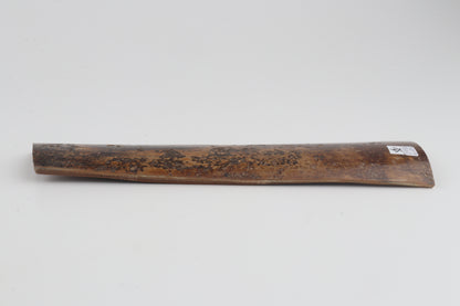Brown mammoth bark