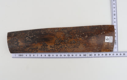 Brown mammoth bark