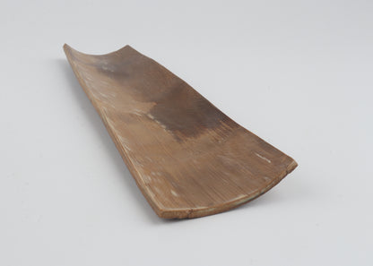 Brown mammoth bark