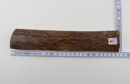 Brown mammoth bark