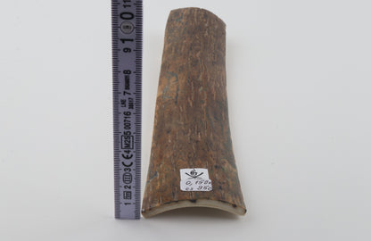 Brown mammoth bark