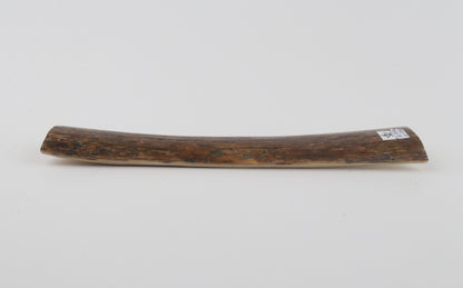 Brown mammoth bark
