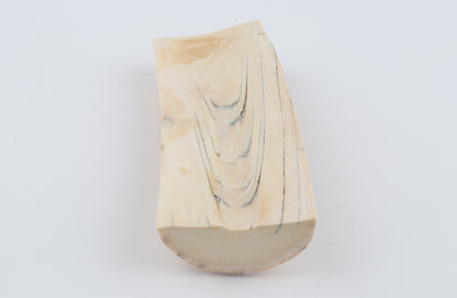 Natural mammoth ivory piece