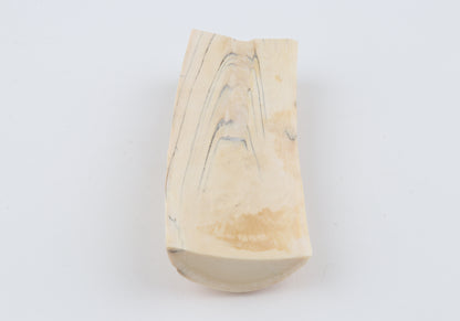 Natural mammoth ivory piece