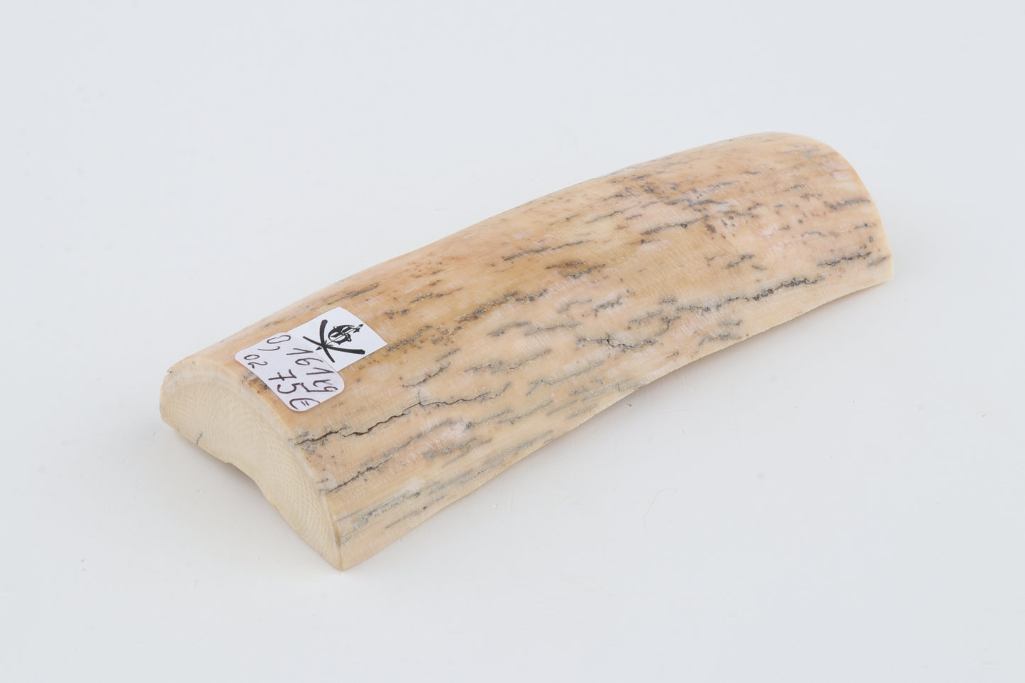 Natural mammoth ivory piece
