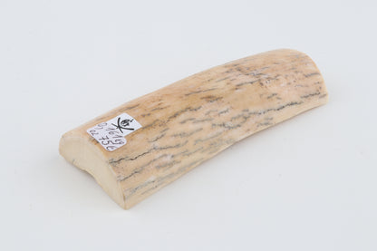 Natural mammoth ivory piece