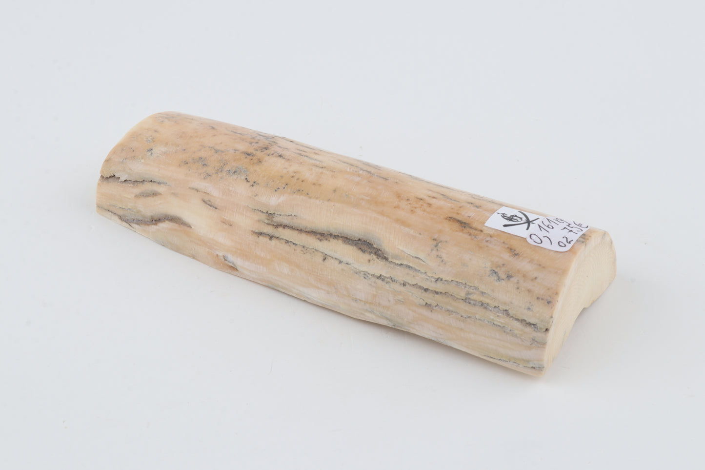 Natural mammoth ivory piece
