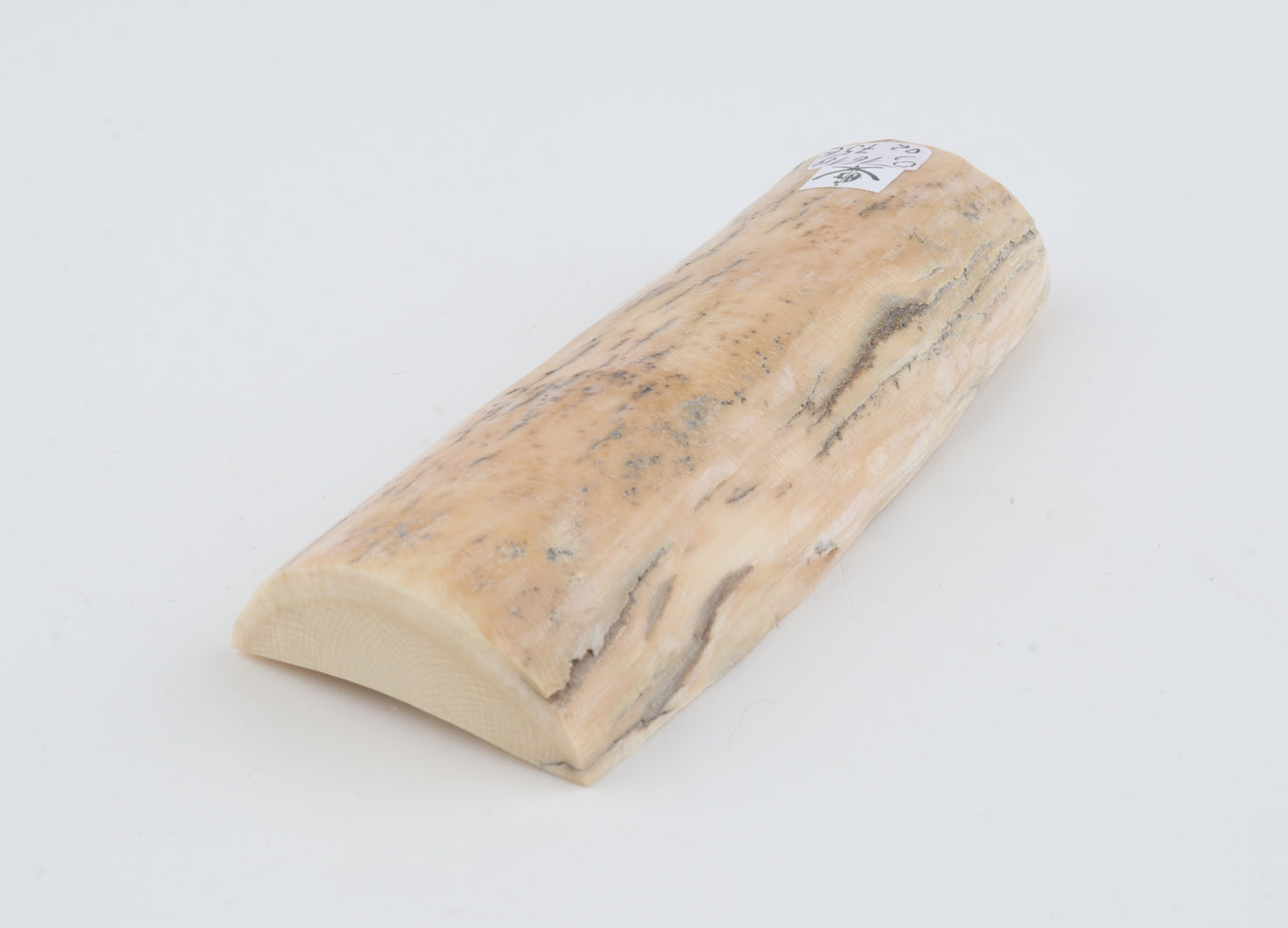 Natural mammoth ivory piece