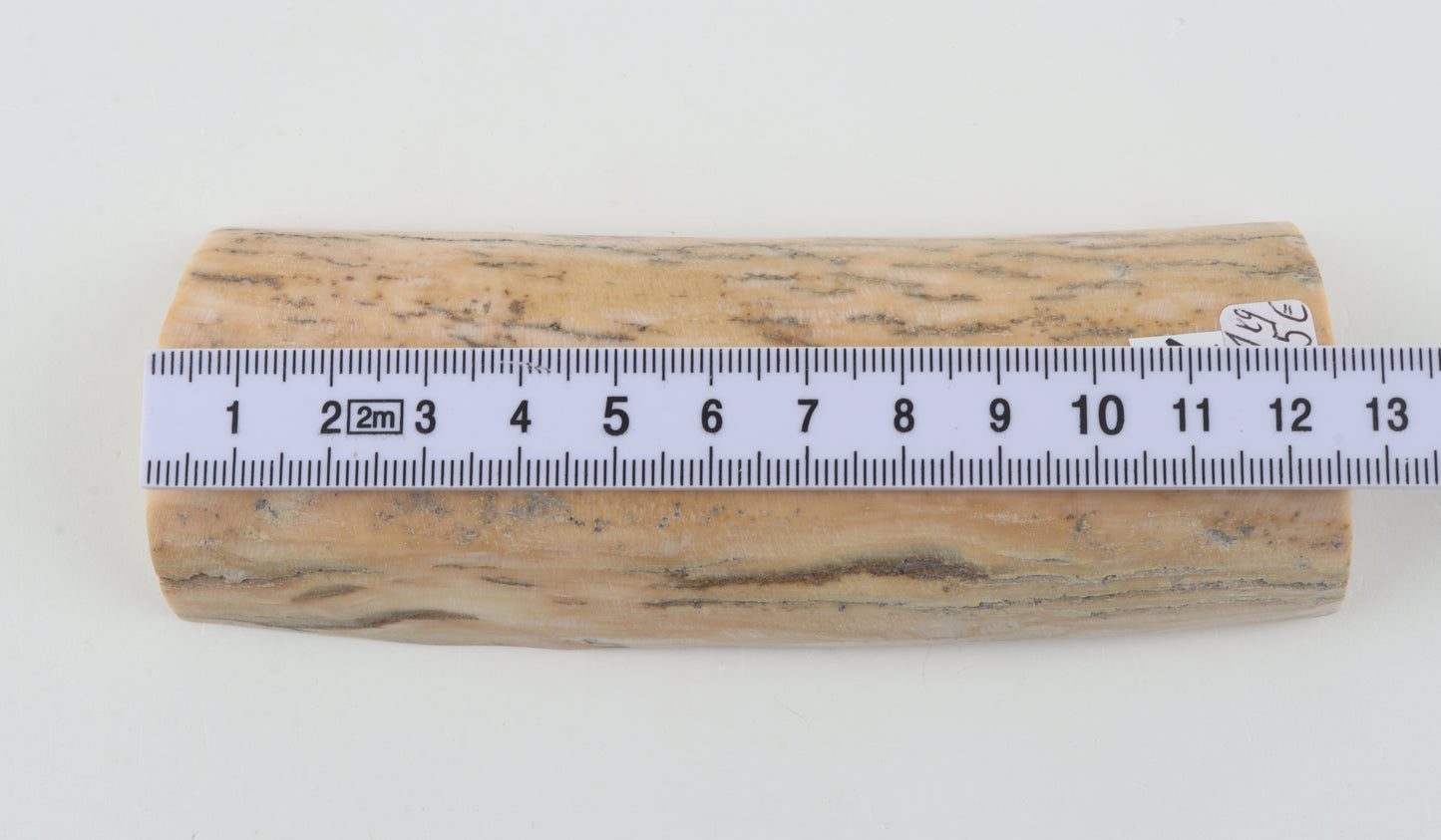 Natural mammoth ivory piece