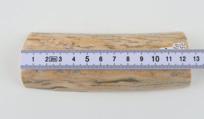 Natural mammoth ivory piece