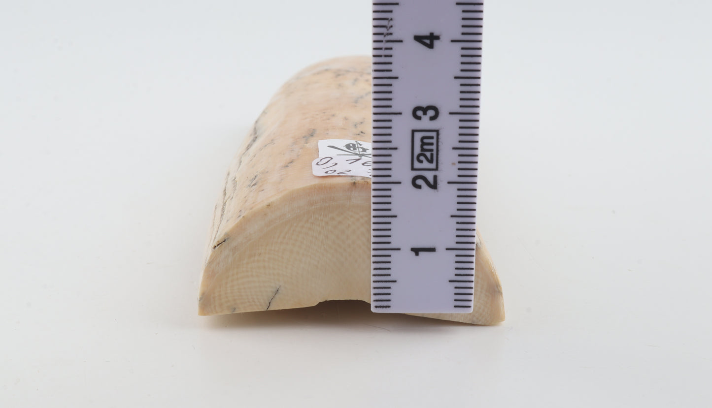 Natural mammoth ivory piece
