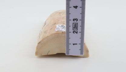 Natural mammoth ivory piece