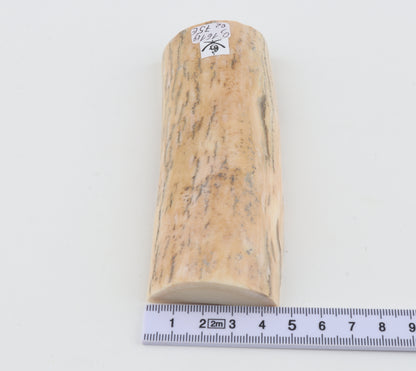 Natural mammoth ivory piece