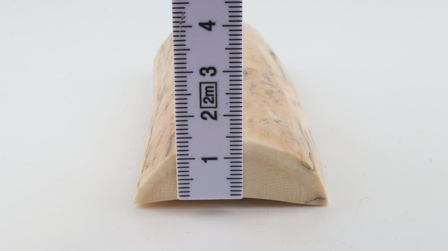 Natural mammoth ivory piece