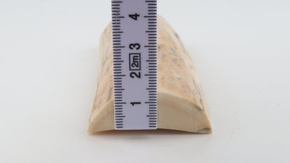 Natural mammoth ivory piece