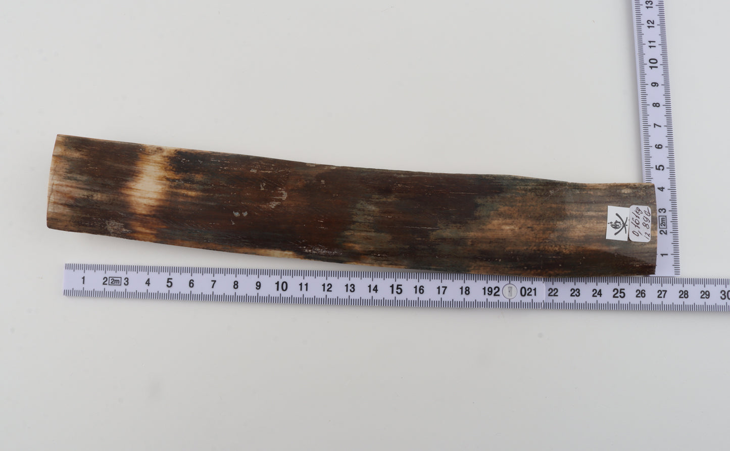 Green-brown mammoth bark