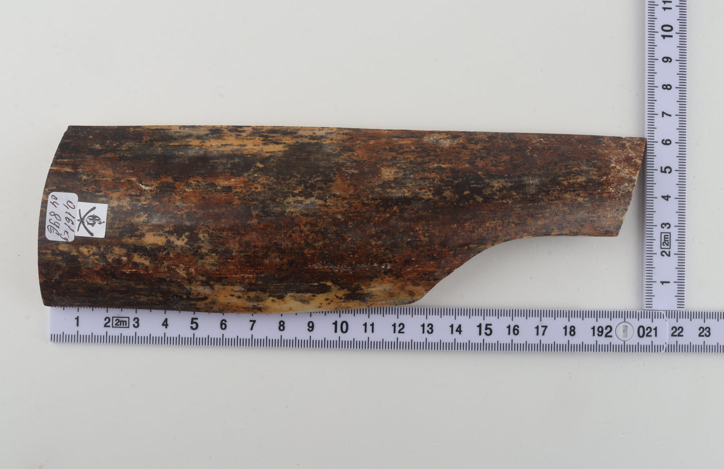 Natural mammoth bark