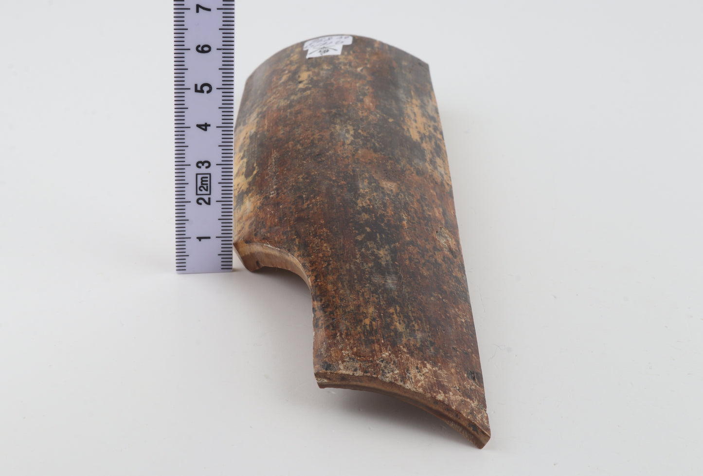 Natural mammoth bark
