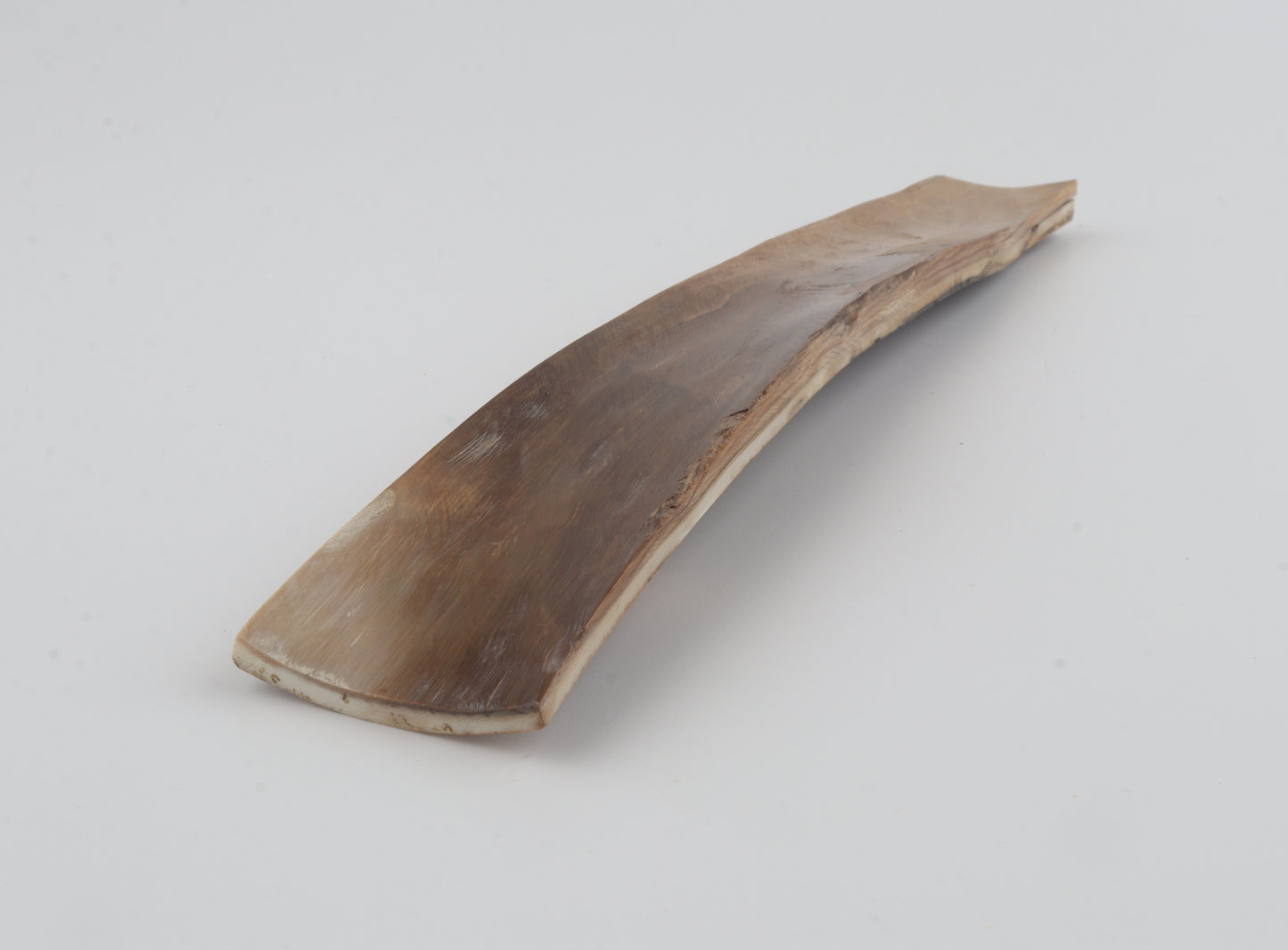 Green-brown mammoth bark