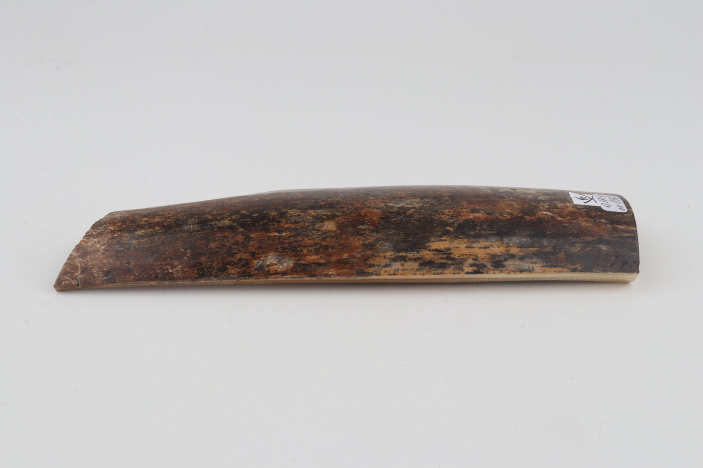 Natural mammoth bark