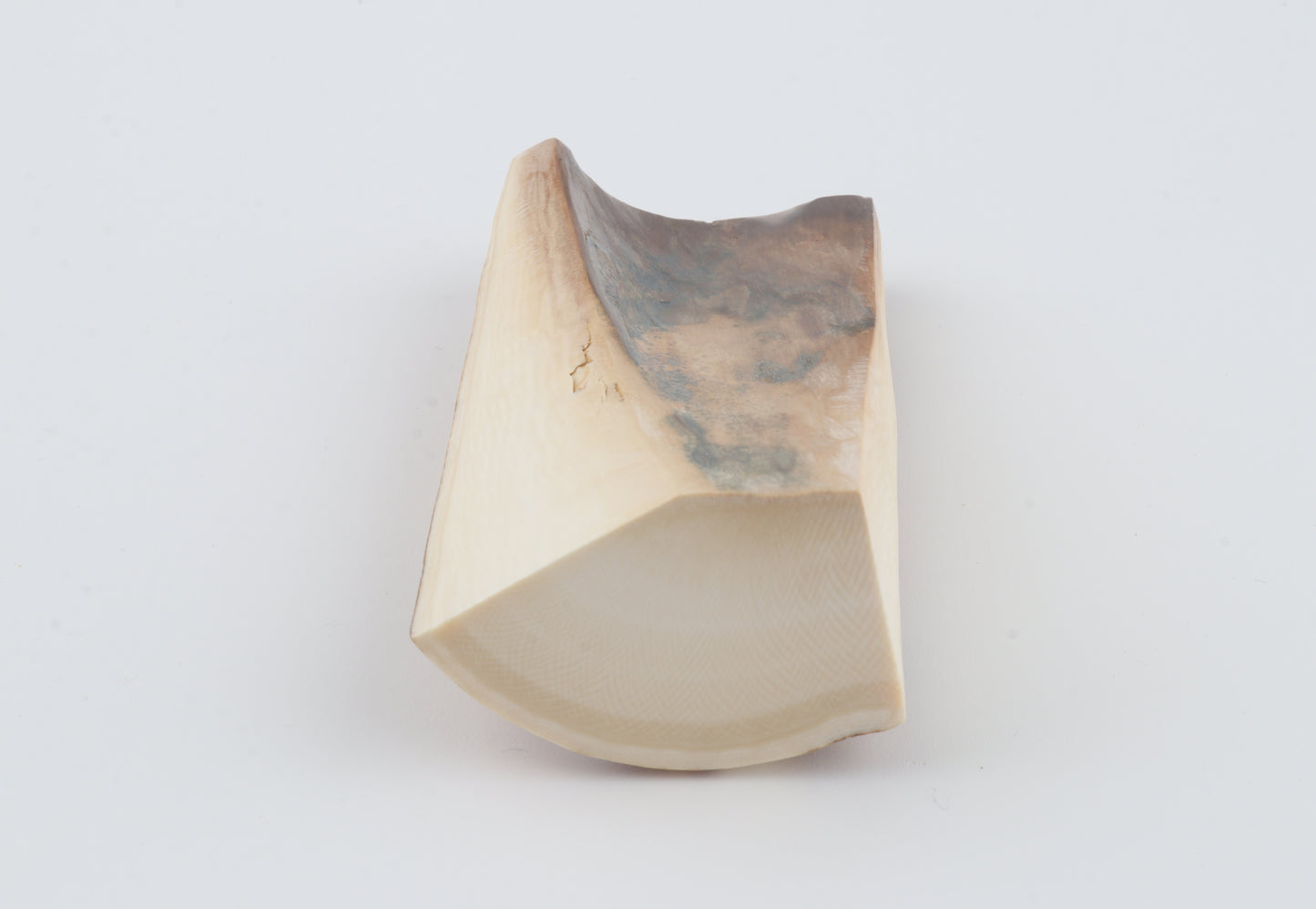 Natural mammoth ivory piece