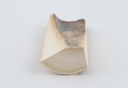 Natural mammoth ivory piece