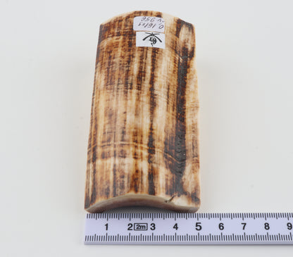 Natural mammoth ivory piece