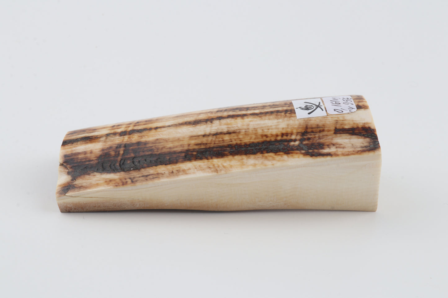 Natural mammoth ivory piece