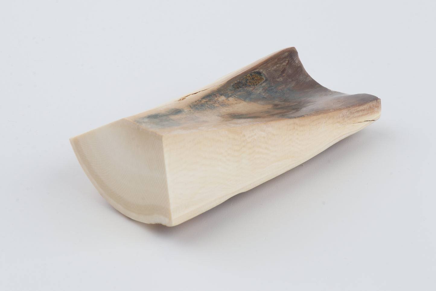 Natural mammoth ivory piece