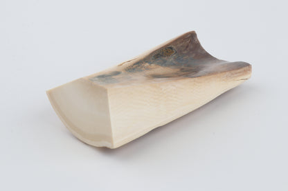 Natural mammoth ivory piece