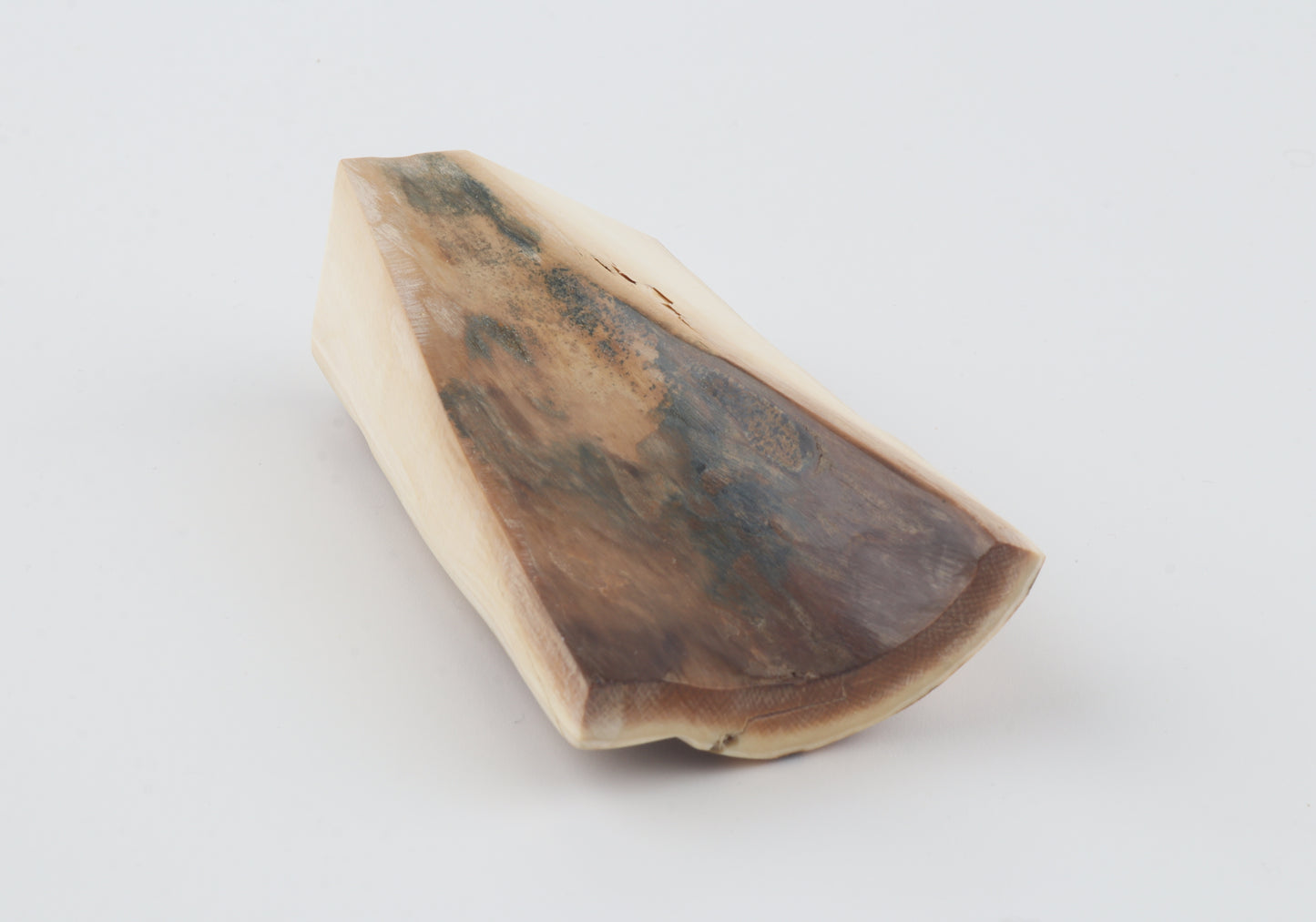Natural mammoth ivory piece