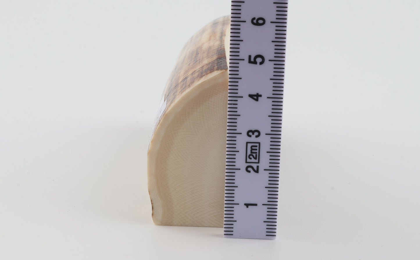 Natural mammoth ivory piece
