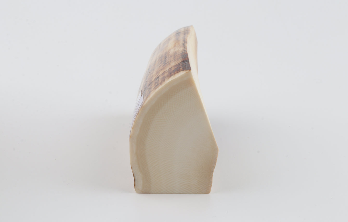 Natural mammoth ivory piece
