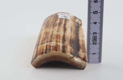 Natural mammoth ivory piece