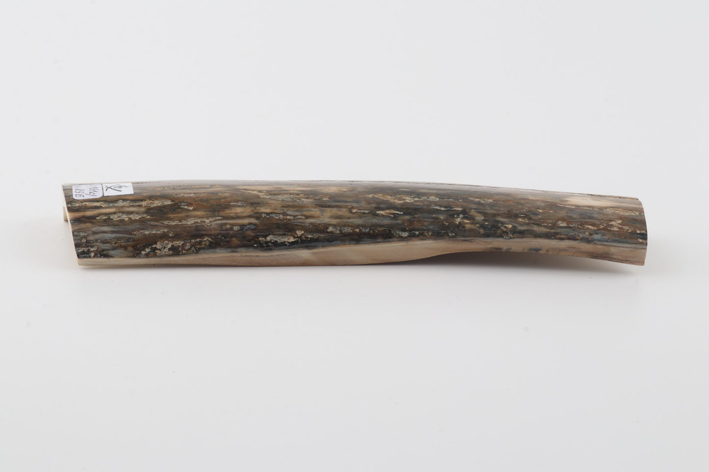 Green mammoth bark