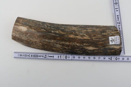 Green mammoth bark