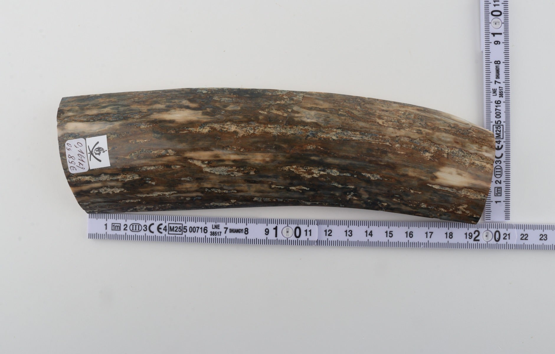Green mammoth bark