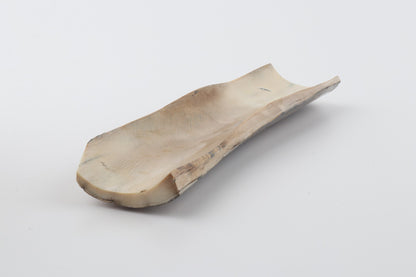 Green mammoth bark