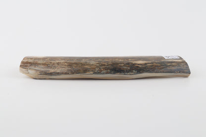 Green mammoth bark