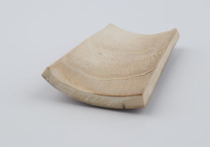 Brown mammoth bark