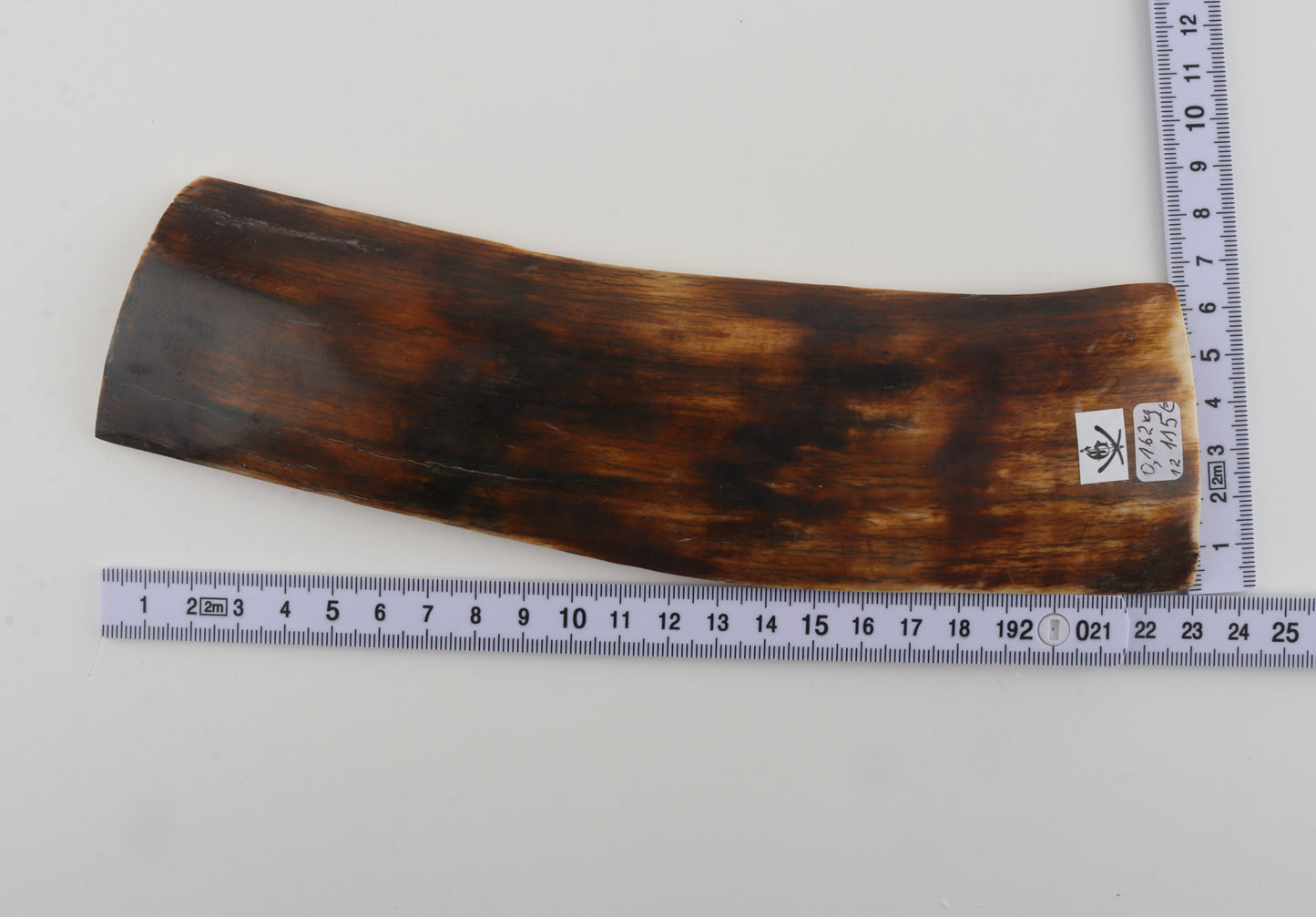 Brown-orange mammoth bark