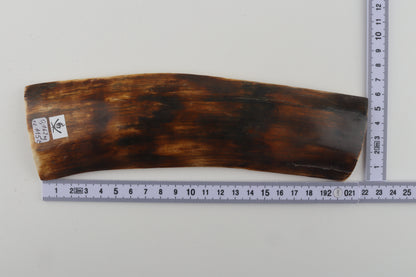 Brown-orange mammoth bark