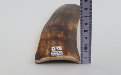 Brown-orange mammoth bark