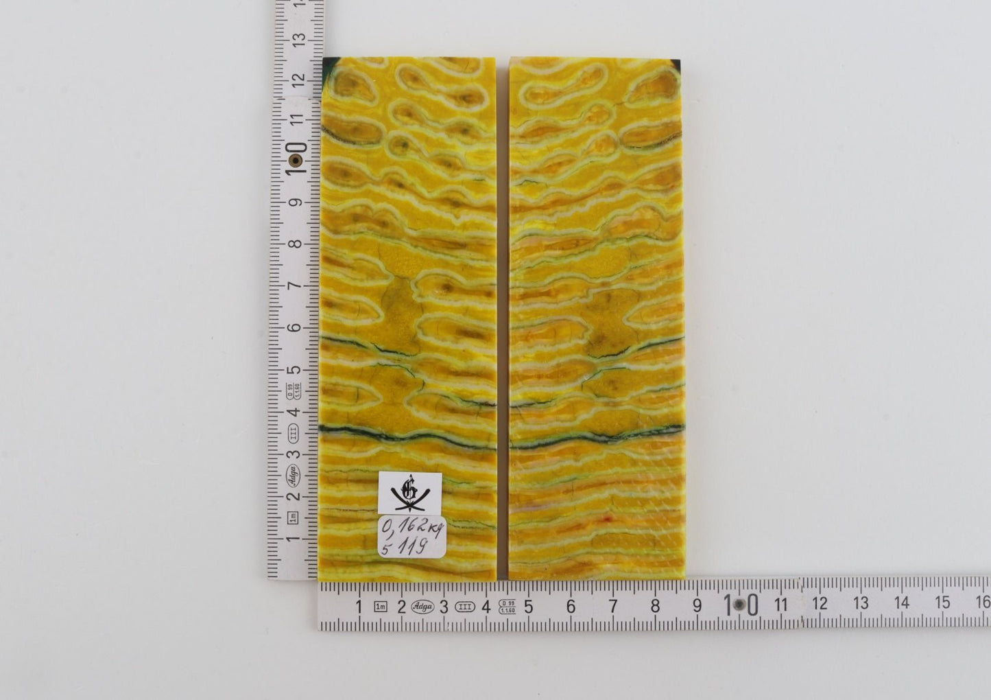 Stabilised mammoth molar scales