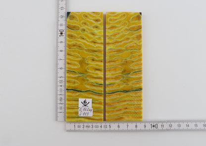 Stabilised mammoth molar scales