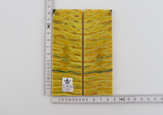 Stabilised mammoth molar scales